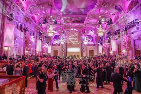 18.01.2018 |  Wiener Hofburg |  Tanzball d. Klub der Wiener Kaffeesieder<br>im Bild:<br> Wiener Tanz-Ball, Stimmung Übersicht